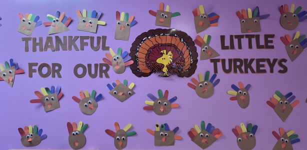 shape
                          turkeys